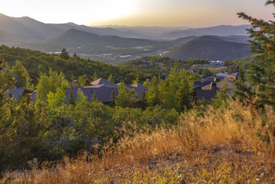 Trees and houses by mountains against sky