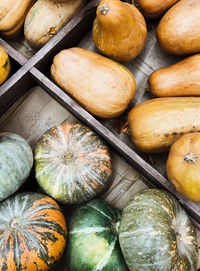 Beautiful colourful pumpkins freshly picked from a pumpkin farm on a wooden container, top view.