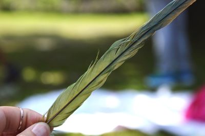 Close-up of cropped hand