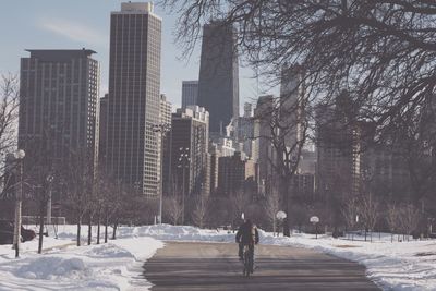 Snow covered trees in city