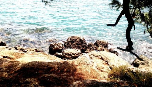 High angle view of rocks on beach