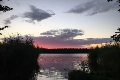 Reflection of trees in calm lake