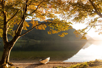 Scenic view of lake during autumn