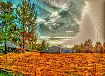 Houses on field against sky