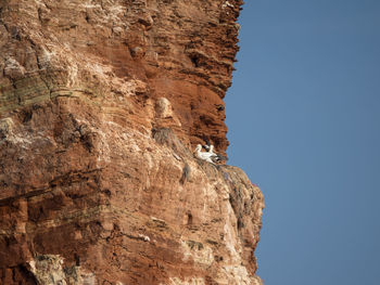 Low angle view of rock formation against sky