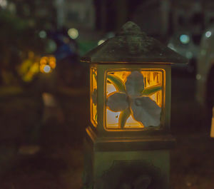 Close-up of illuminated lantern on plant at night