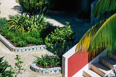 High angle view of palm trees by swimming pool in yard