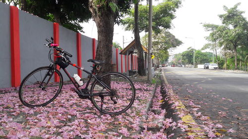 Bicycle amidst fallen pink flowers on sidewalk