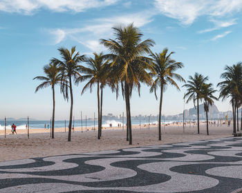 Palm trees on beach against sky