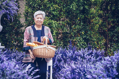 Old elderly elder woman holding picnic basket in lavender flower garden. senior leisure lifestyle