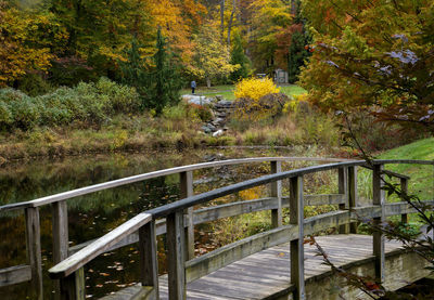 Scenic view of trees in forest