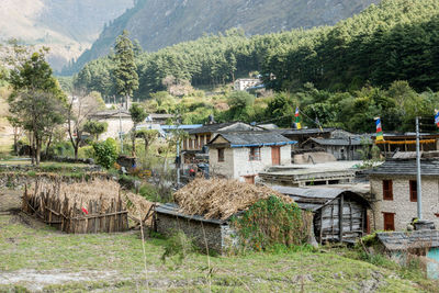 Farm against trees and mountains against sky