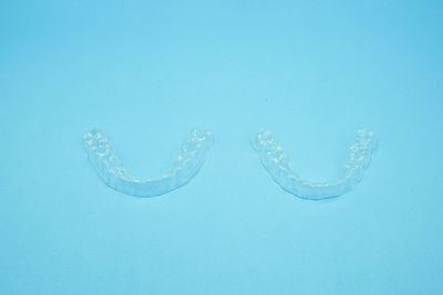 Close-up of jellyfish swimming in sea