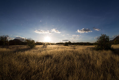 Scenic view of field against sky