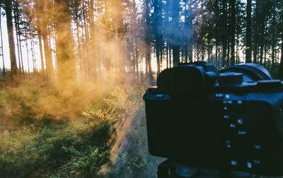 View of camera and trees in forest