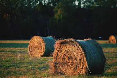 Hay bales on field