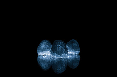 Raspberries with reflection over black background