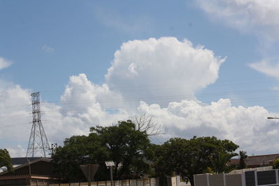 Low angle view of trees against sky