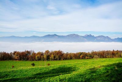 Scenic view of grassy field against cloudy sky