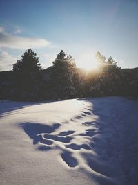 Scenic view of snow covered land during sunset