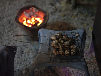 Sweet clams grilled in steel grate with a charcoal grill.