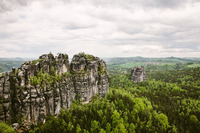 Plants growing on landscape against cloudy sky