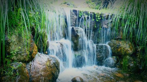 Scenic view of waterfall in forest