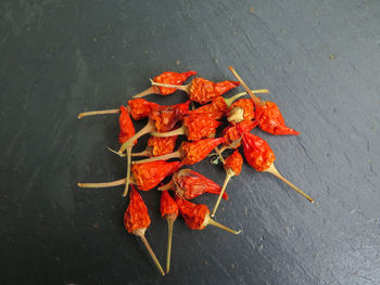 High angle view of red chili peppers on table