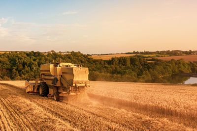 View of agricultural field against sky