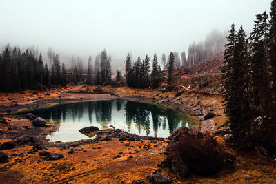 Scenic view of lake in forest against clear sky