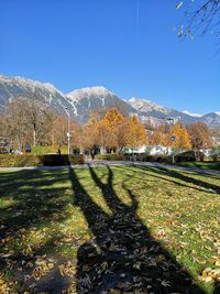 Shadow of tree on mountain against sky