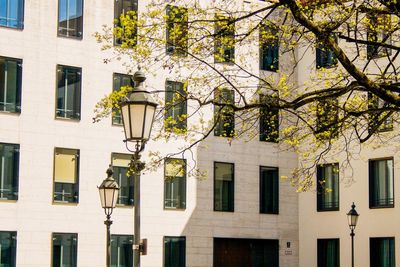 View of tree in city