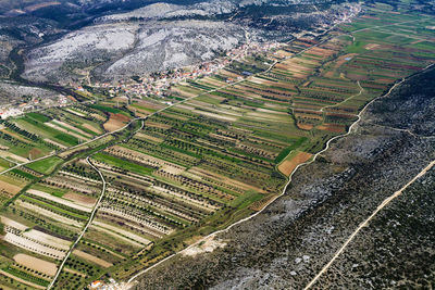 Aerial view of fertile fields in zadar region near adriatic coast