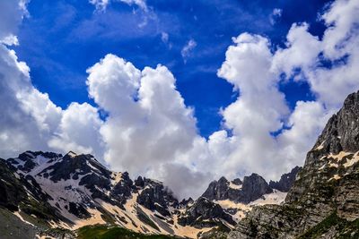 Low angle view of trees against sky