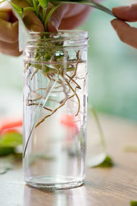 Close-up of hand holding glass jar on table