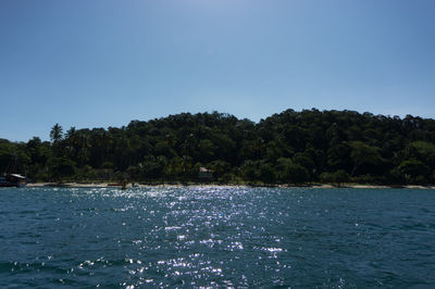 Scenic view of trees against clear blue sky