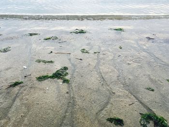 High angle view of beach