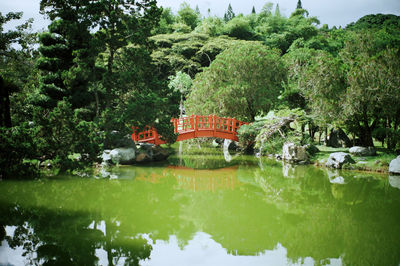 Scenic view of lake by trees and plants