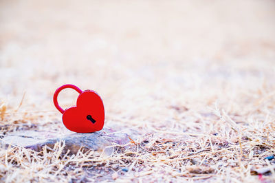 Close-up of heart shaped lock on grass land
