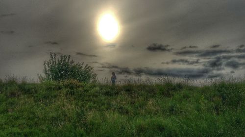 Scenic view of field against sky during sunset