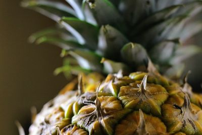 Close-up of pineapple