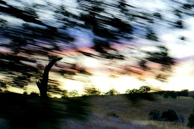 Blurred motion of trees on field against sky