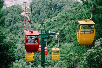 High angle view of overhead cable cars over forest