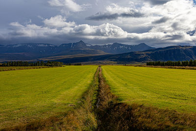 Scenic view of field against sky