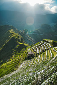 Scenic view of agricultural field against mountains