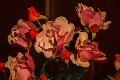 Close-up of rose bouquet against black background