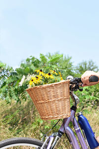 Man riding bicycle in basket on field against clear sky