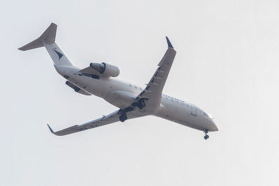 Low angle view of bird flying in sky