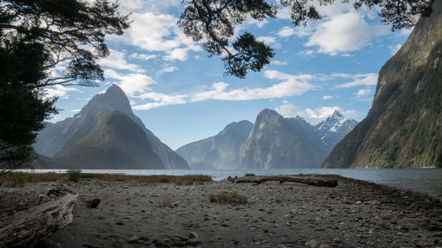 Fjord landscape framed by tree branches . milford sound, fiordland national park, new zealand