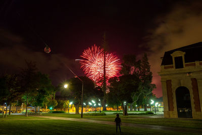 Low angle view of firework display at night